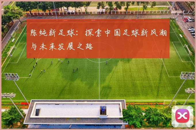 陈纯新足球：探索中国足球新风潮与未来发展之路